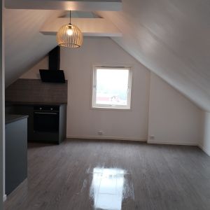 Leilighet, 2 roms Grim INKL Strøm og internett